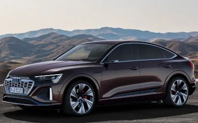 Audi Q8 Sportback e-tron 55 quattro Advanced (2022-2025)