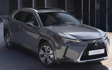 Lexus UX 300e Business (2023-2024)