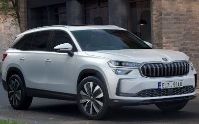 Skoda Kodiaq Selection 1.5 TSI iV PHEV 204 CV DSG (2024-2025)